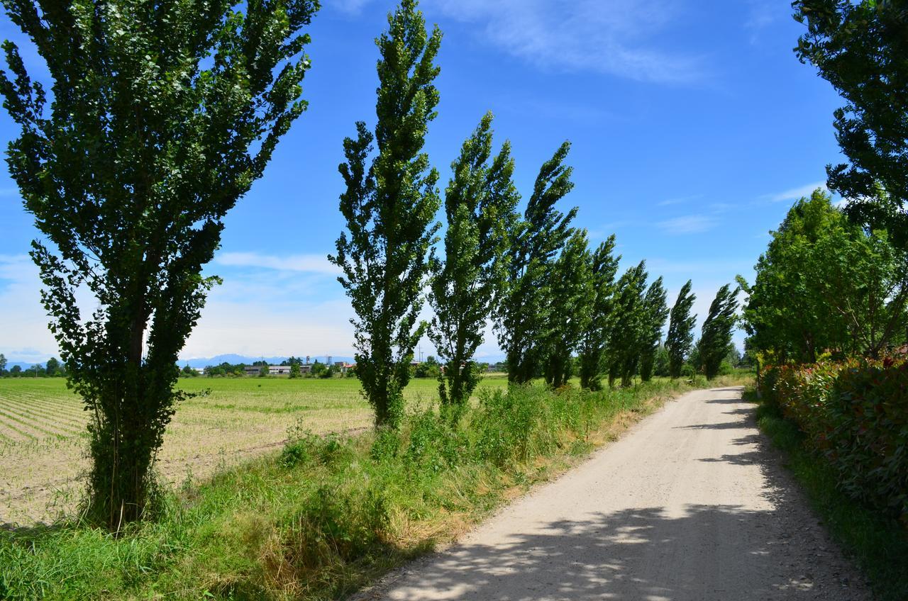 Agriturismo Cascina Maiocca Mediglia Kültér fotó
